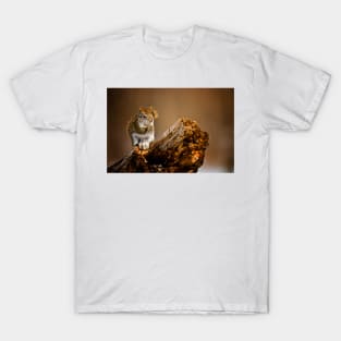 Red Squirrel T-Shirt